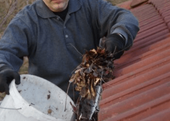 Cleaning Gutters