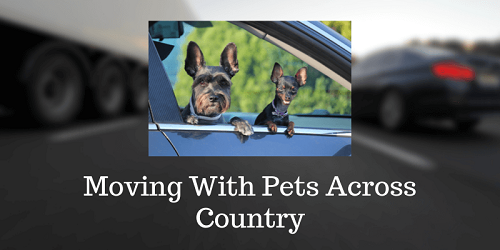 Moving With Pets Across Country