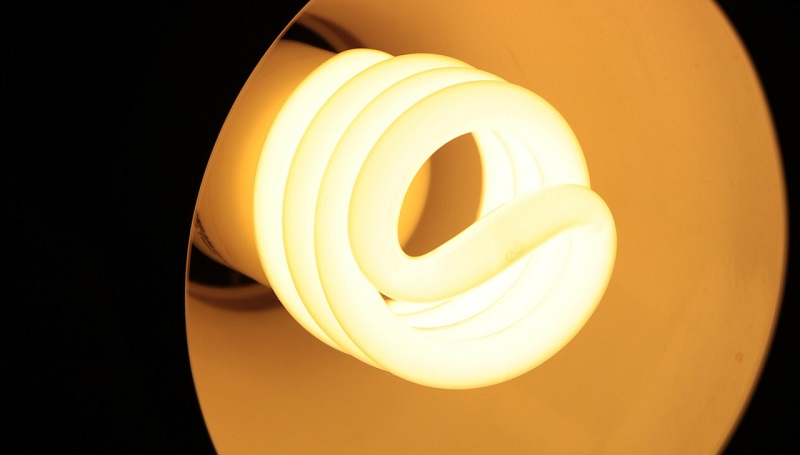 Fluorescent Light Bulb