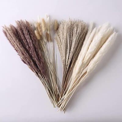 Dried Flower Arrangements