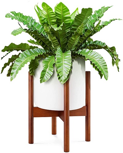 Plant Holder