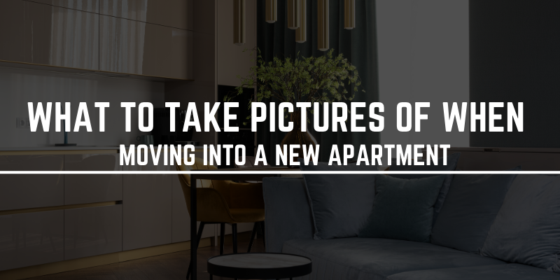 Pictures for new apartment